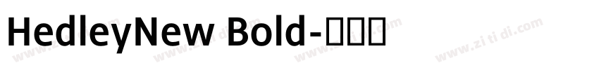 HedleyNew Bold字体转换